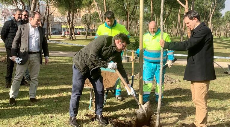 Más de 7.500 nuevas plantaciones para aumentar el patrimonio arbóreo de la ciudad, también en Vallecas