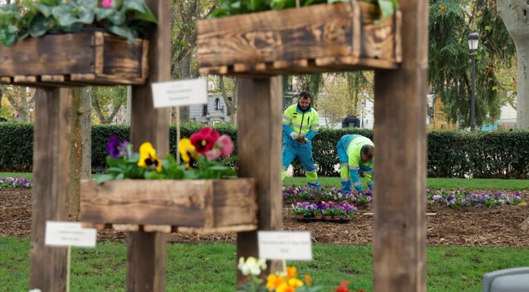 Más de 80.000 flores para Vallecas