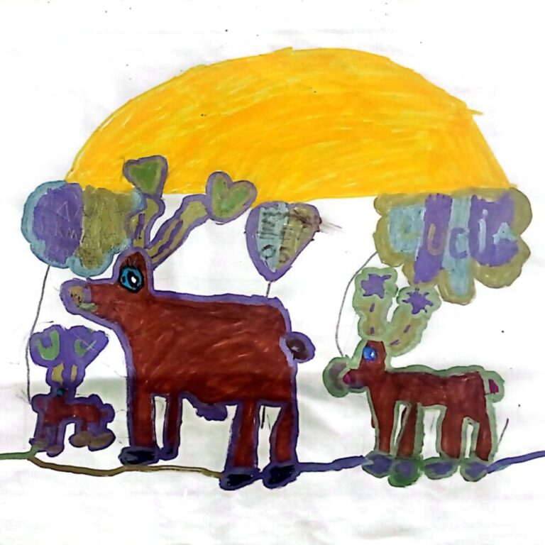 El dibujo de una niña vallecana, entre los ocho que iluminan la Navidad madrileña